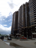 Многоэтажный жилой дом по адресу: Красный проспект, 310 (1656 м²)